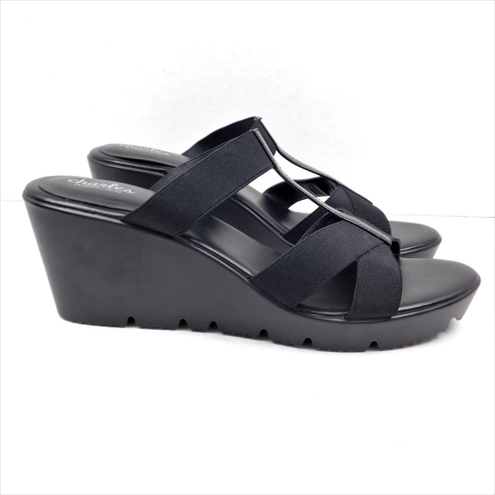 Charles by Charles David Wedge Heel Sandals 11 (63024)